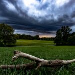 2550CB85-F64F-42EA-BE39-C75610BEBF2E