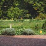 6FC75515-B4D1-47F0-BF5D-34AA2D1FD2E4_1_105_c