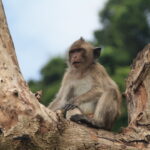 A227878C-114B-4465-86E7-41DBB166E1B7_1_105_c