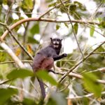 E1797E86-AC93-4DC4-8336-8D80D2A6A9F6_1_105_c