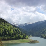 F4A28563-C0ED-49E7-BC8B-264E5E7293C3_1_105_c